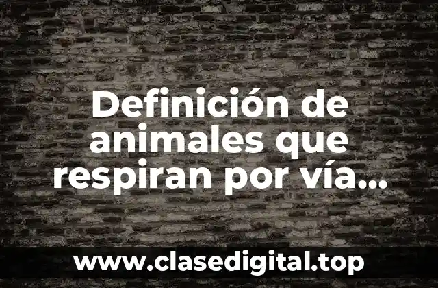 Ejemplos de animales que respiran por vía cutánea