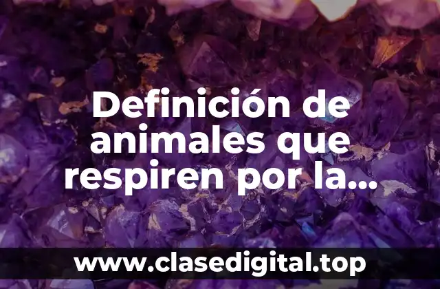 Definición de animales que respiren por la cutánea