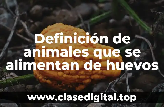 Definición de animales que se alimentan de huevos