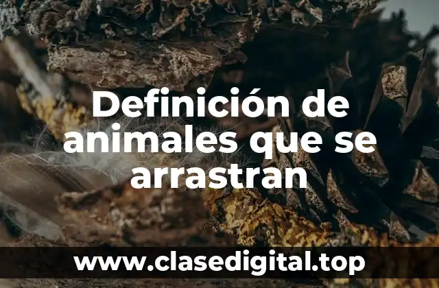 Definición de animales que se arrastran