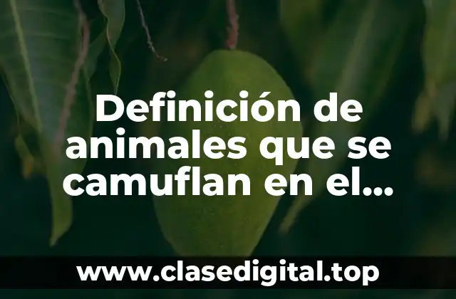 Definición de animales que se camuflan en el desierto