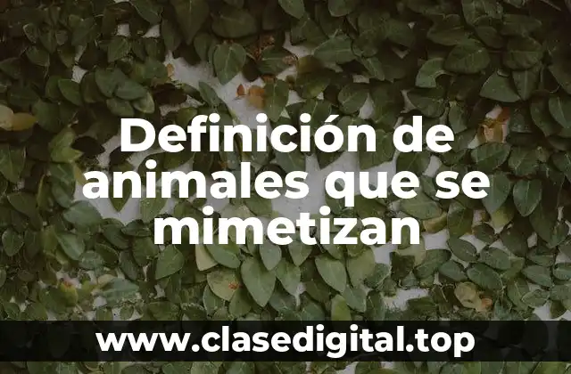 Definición de animales que se mimetizan