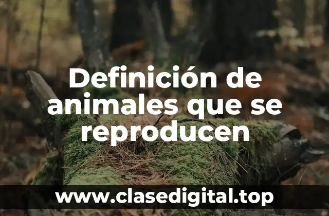 Definición de animales que se reproducen