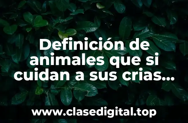 Definición de animales que si cuidan a sus crias aves