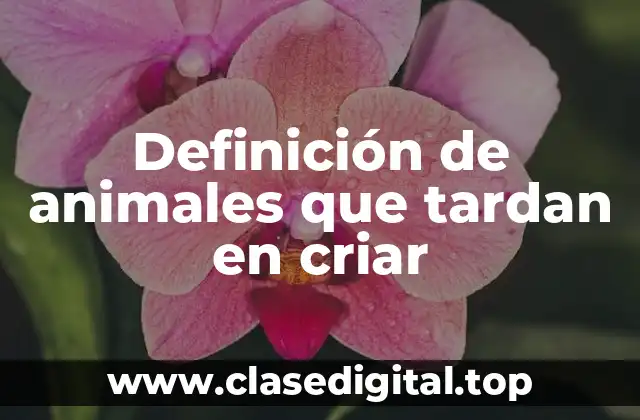 Definición de animales que tardan en criar