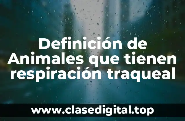 Definición de Animales que tienen respiración traqueal