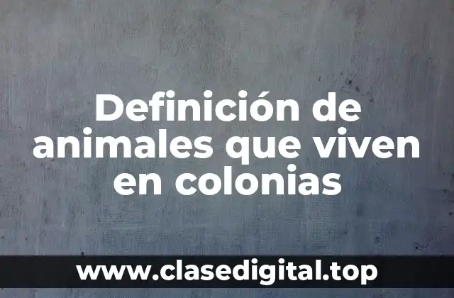 Definición de animales que viven en colonias