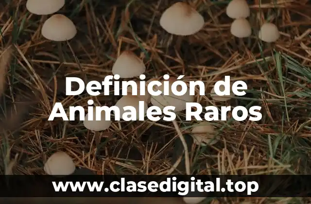 Definición de Animales Raros