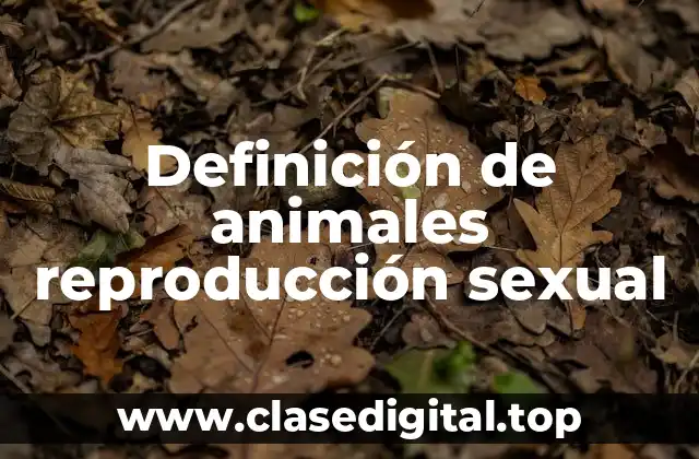 Definición de animales reproducción sexual