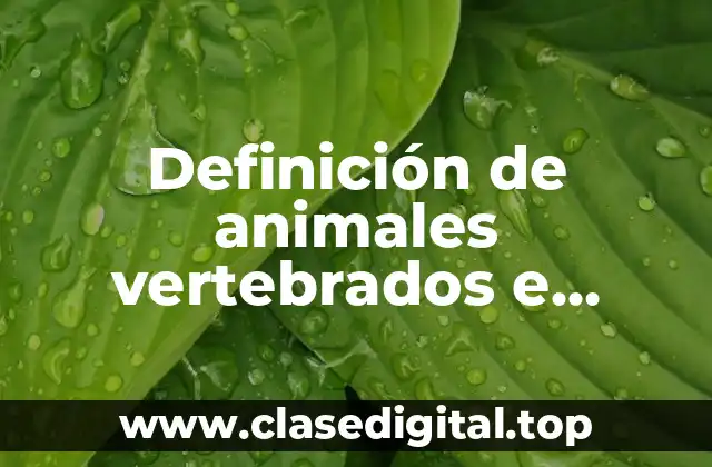 Definición de animales vertebrados e invertebrados para niños