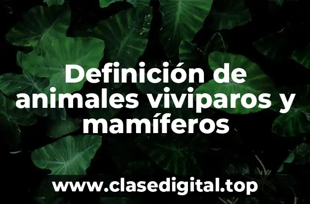 Definición de animales viviparos y mamíferos