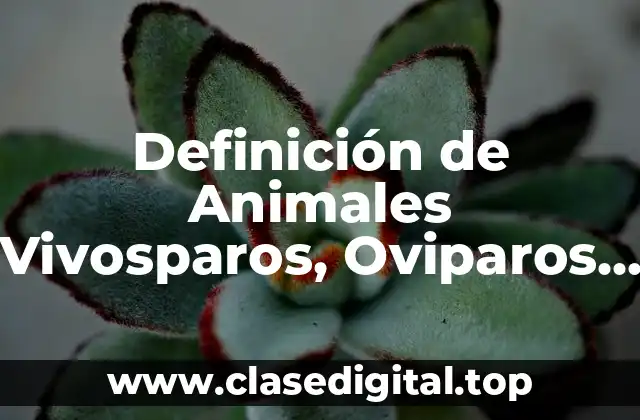 Definición de Animales Vivosparos, Oviparos y Oviviparos