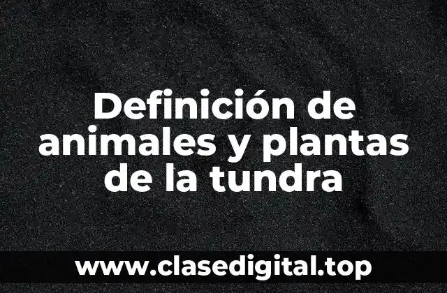 Definición de animales y plantas de la tundra