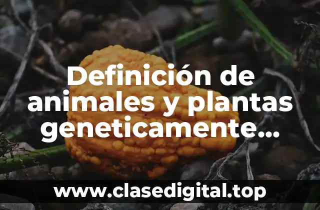 Ejemplos de animales y plantas geneticamente modificados