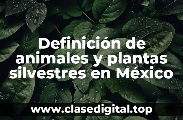 Definición de animales y plantas silvestres en México