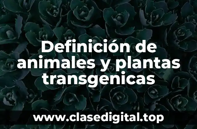 Definición de animales y plantas transgenicas
