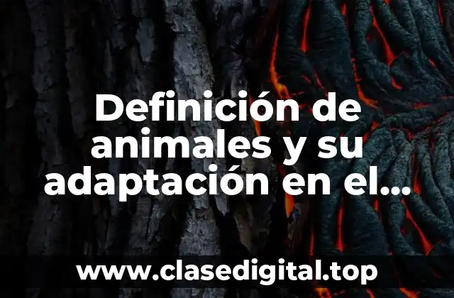 Ejemplos de animales y su adaptación en el tiempo