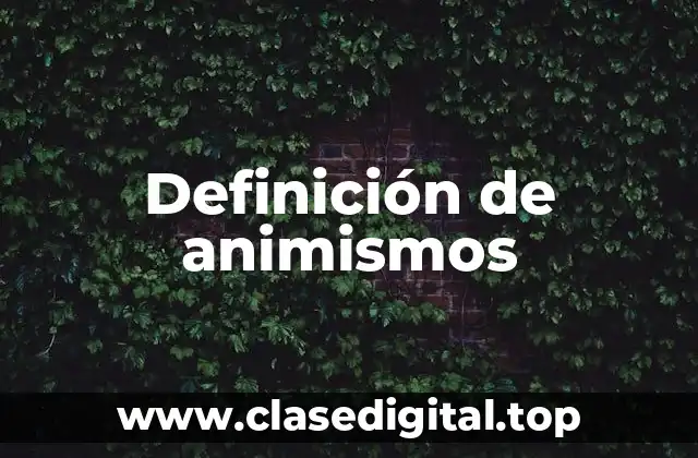 Definición de animismos