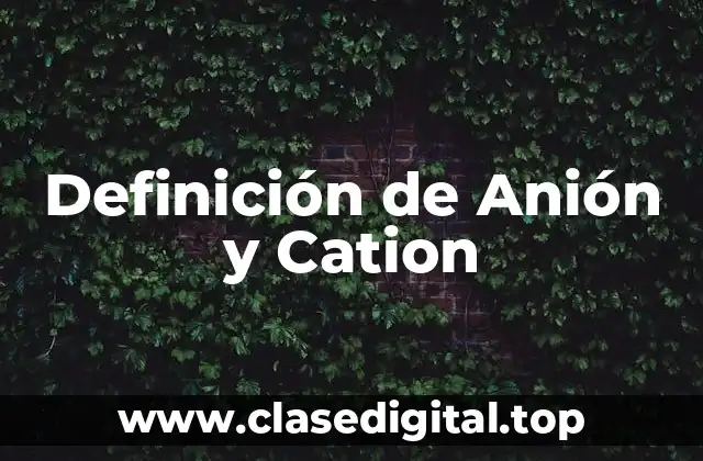 Definición de Anión y Cation