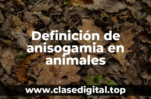 Definición de anisogamia en animales