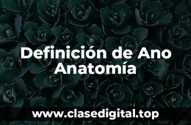 Definición de Ano Anatomía