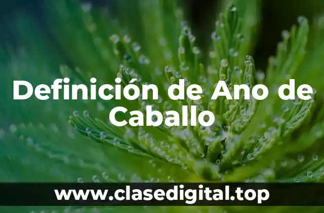 Definición de Ano de Caballo