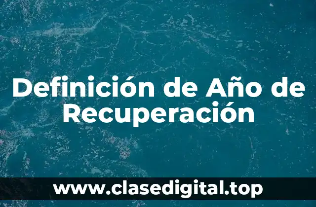 Definición de Año de Recuperación
