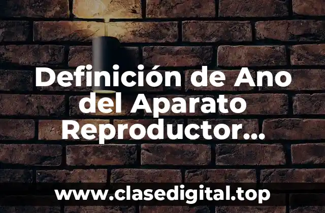Definición de Ano del Aparato Reproductor Masculino