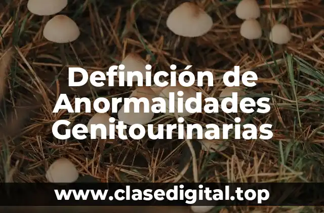 Definición de Anormalidades Genitourinarias