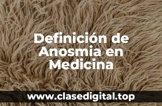 Definición de Anosmia en Medicina