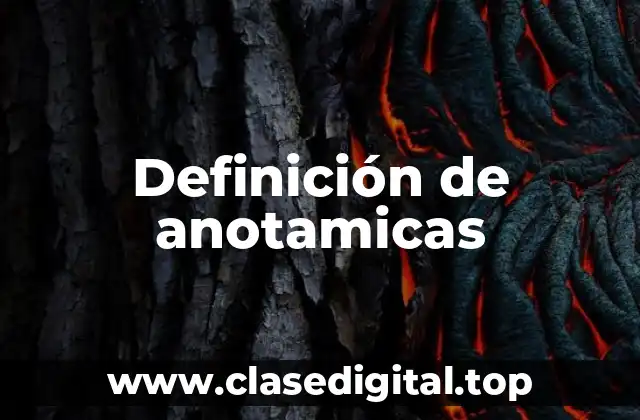 Definición de anotamicas