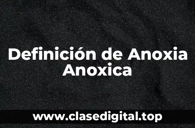 Definición Técnica de Anoxia Anoxica