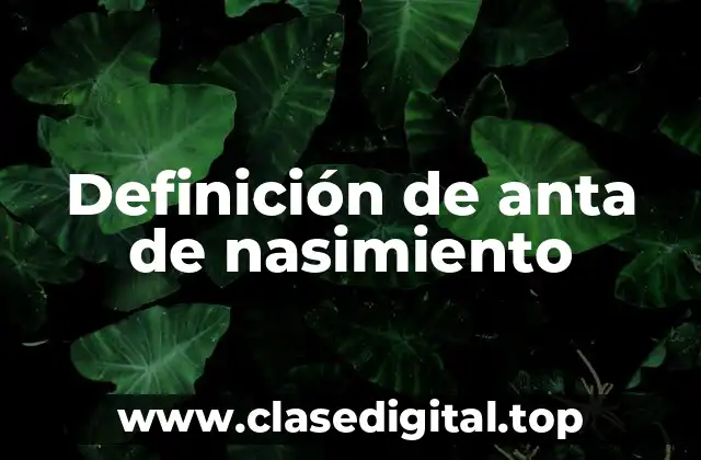 Definición de anta de nasimiento