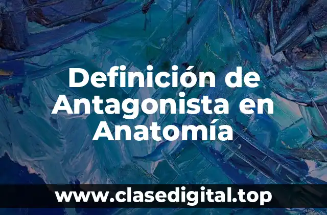 Definición Técnica de Antagonista en Anatomía
