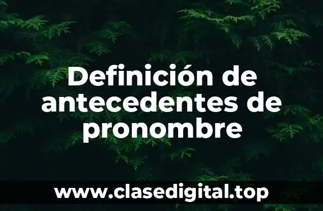 Definición de antecedentes de pronombre