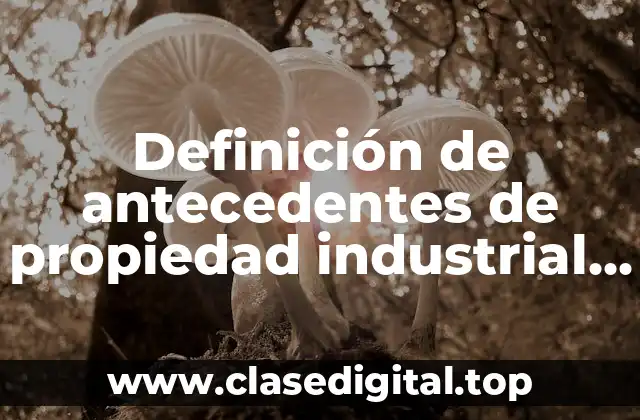 Definición de antecedentes de propiedad industrial en México
