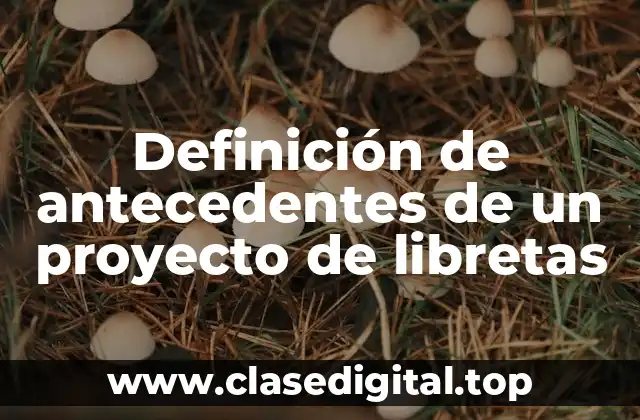 Definición de antecedentes de un proyecto de libretas