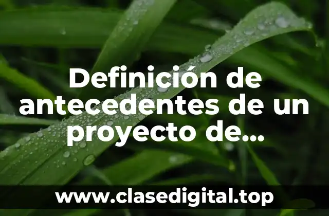Definición de antecedentes de un proyecto de nutrición