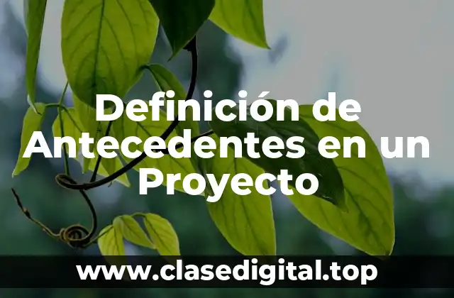 Definición de Antecedentes en un Proyecto