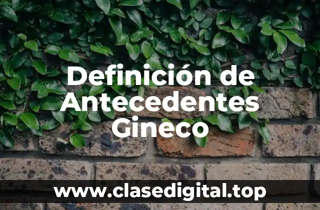 Definición de Antecedentes Gineco