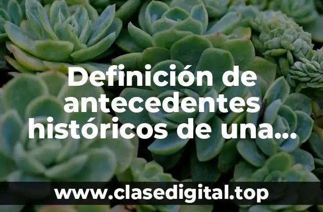 Definición de antecedentes históricos de una empresa