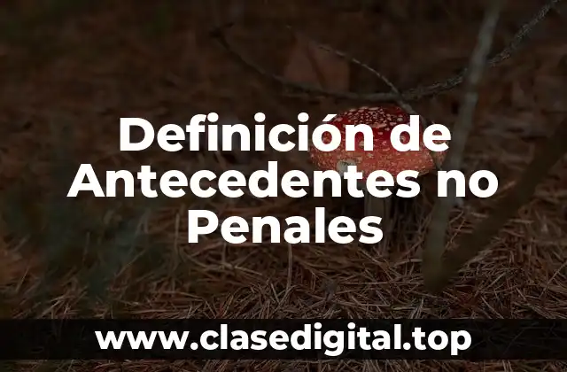Definición de Antecedentes no Penales