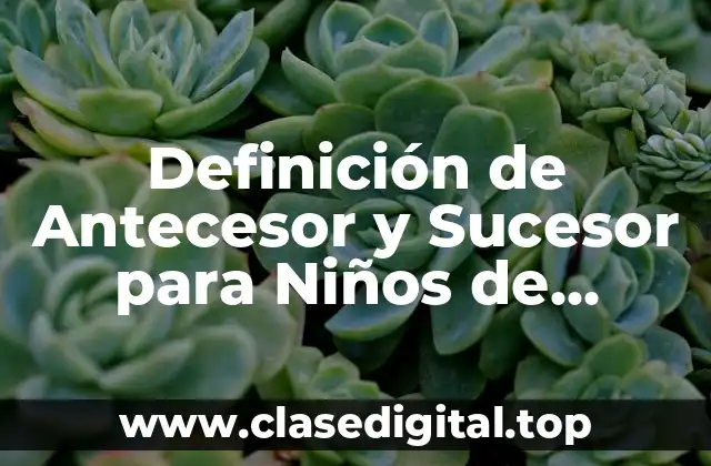 Definición de Antecesor y Sucesor para Niños de Primero
