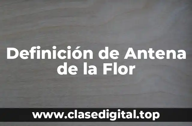 Definición de Antena de la Flor