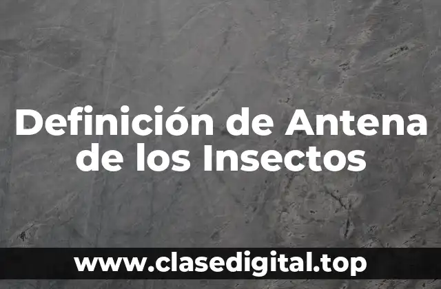 Definición de Antena de los Insectos