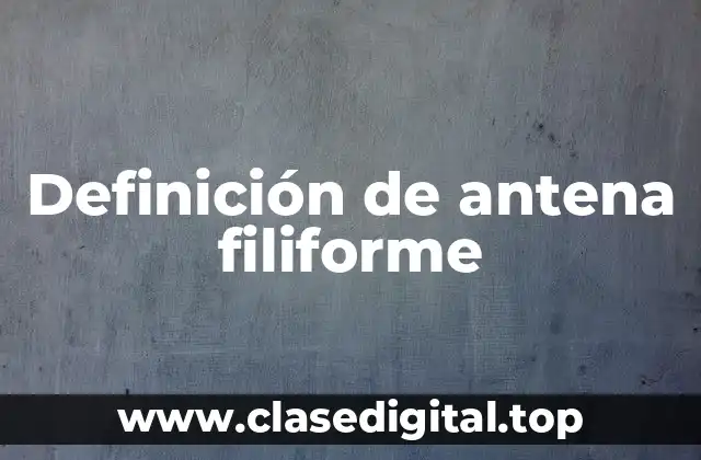 Definición de antena filiforme