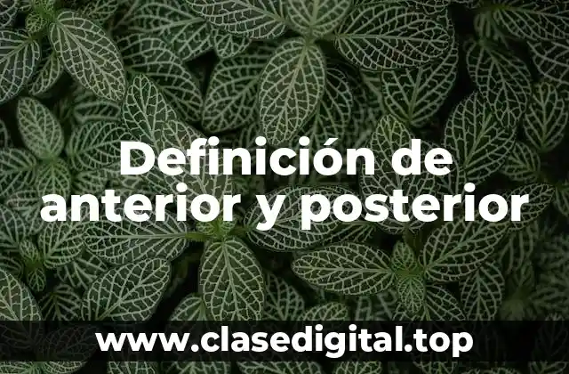 Definición de anterior y posterior