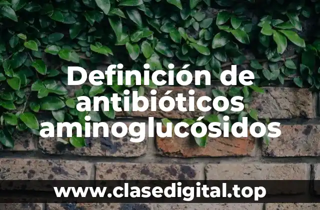 Ejemplos de antibióticos aminoglucósidos