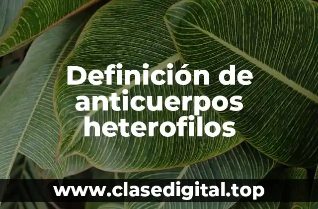 Definición de anticuerpos heterofilos