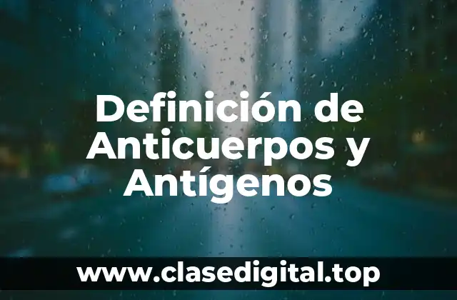 Definición de Anticuerpos y Antígenos